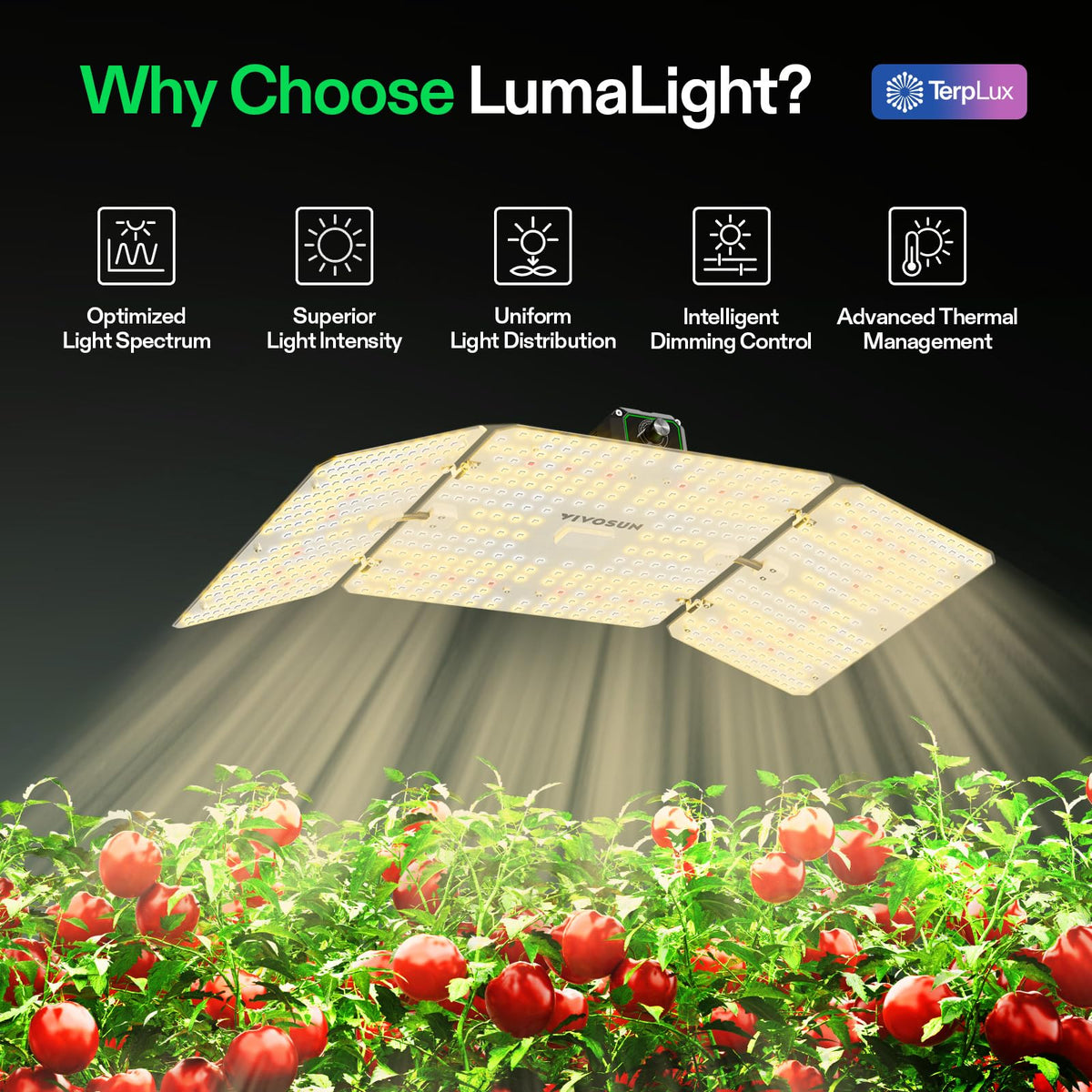VIVOSUN LumaLight delivers full-spectrum light for healthy seedling development.