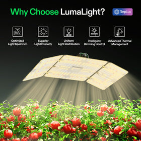VIVOSUN LumaLight delivers full-spectrum light for healthy seedling development.
