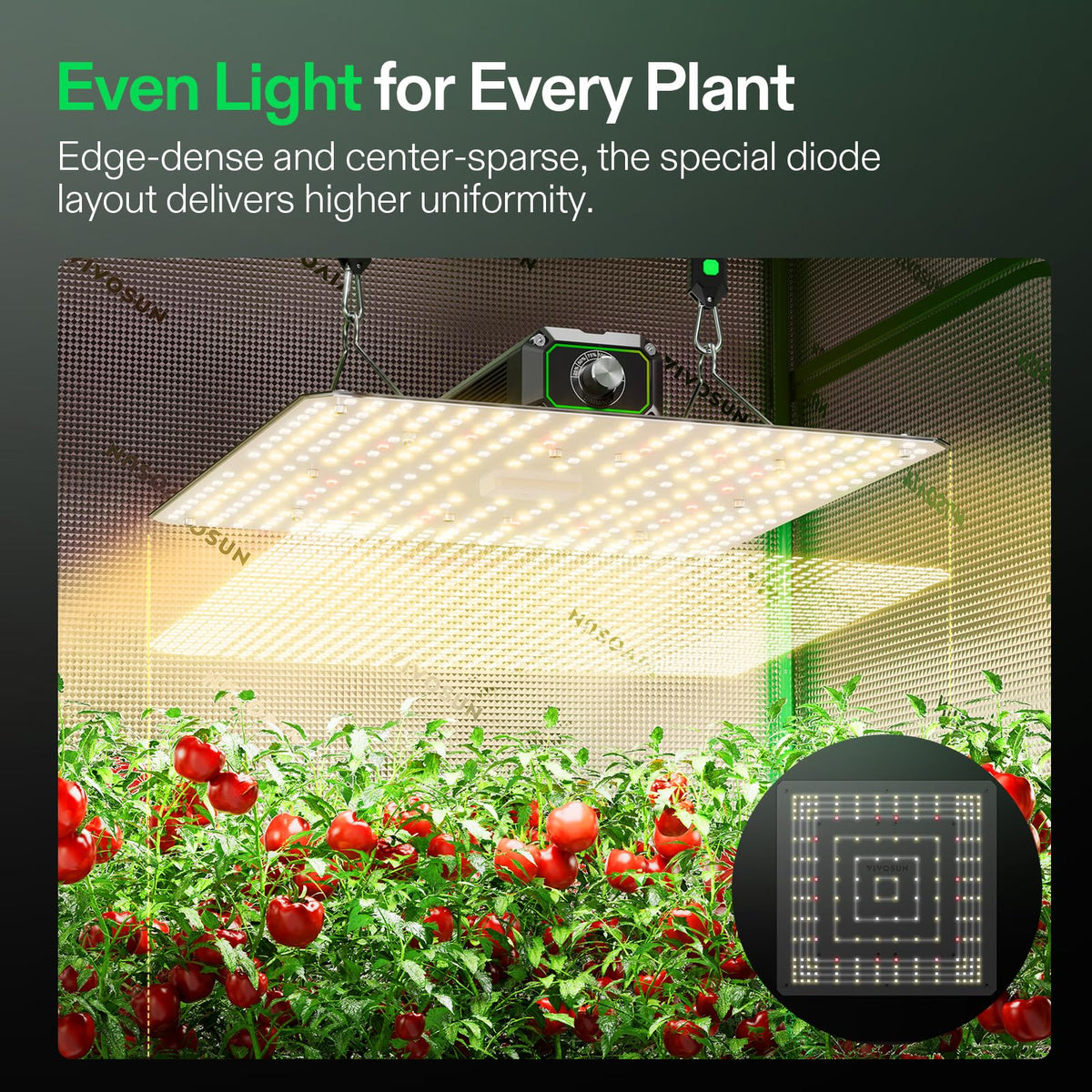 VIVOSUN LumaLight with GrowHub compatibility for smart scheduling.