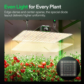 VIVOSUN LumaLight with GrowHub compatibility for smart scheduling.