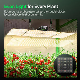 VIVOSUN LumaLight IP65 rating protects against water and dust in humid tents.