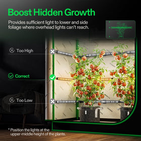 VIVOSUN Lumaray red-spectrum emphasis supports flowering in the canopy
