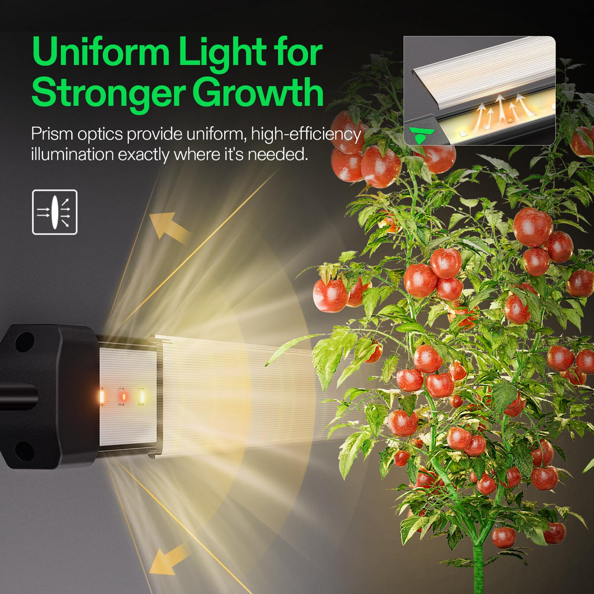 VIVOSUN Lumaray daisy-chain connectivity enabling scalable garden lighting