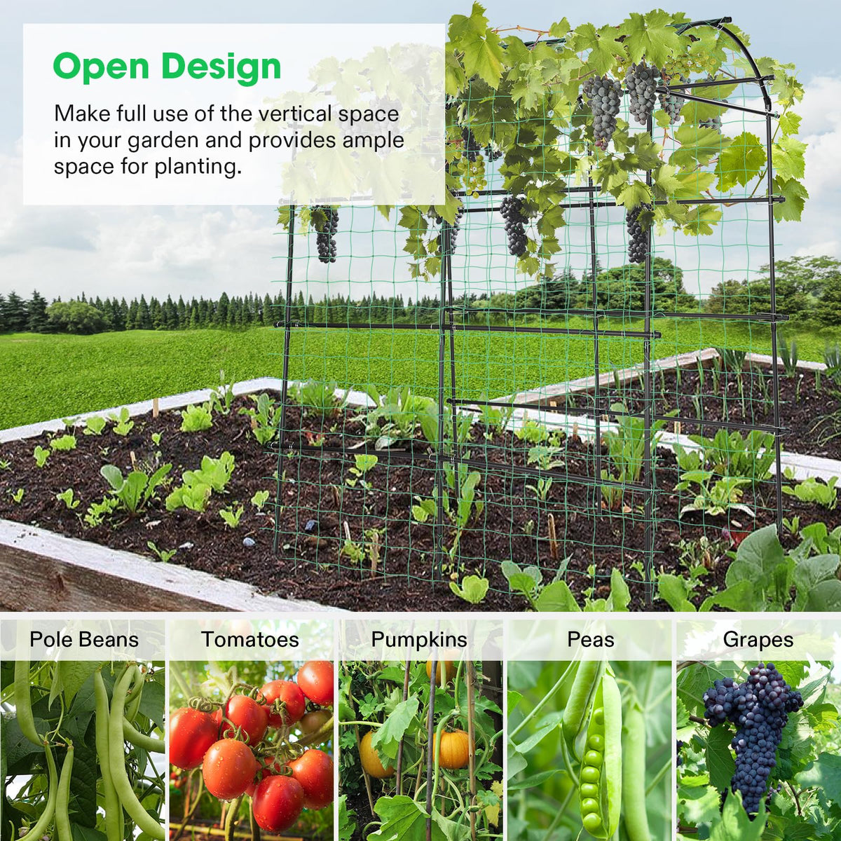 VIVOSUN versatile arch supports flowers, beans, tomatoes, grapes, and more