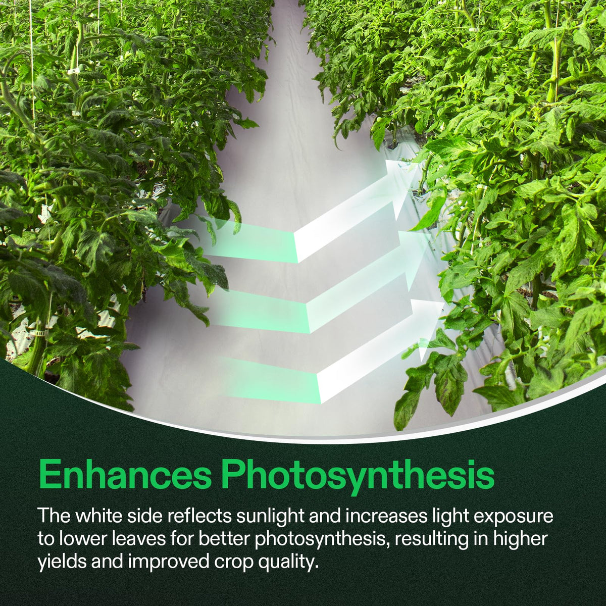 VIVOSUN Panda Film blocks external light and ensures privacy for rooms and grow spaces.