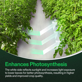VIVOSUN Panda Film blocks external light and ensures privacy for rooms and grow spaces.