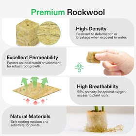 VIVOSUN 72-pack rockwool cubes ready for germination and propagation projects.