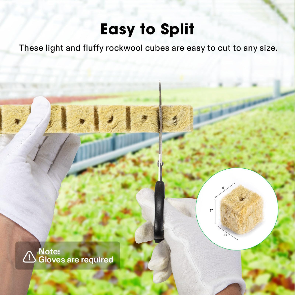 VIVOSUN rockwool cubes easy to cut and observe root growth progress.