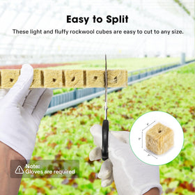 VIVOSUN rockwool cubes easy to cut and observe root growth progress.