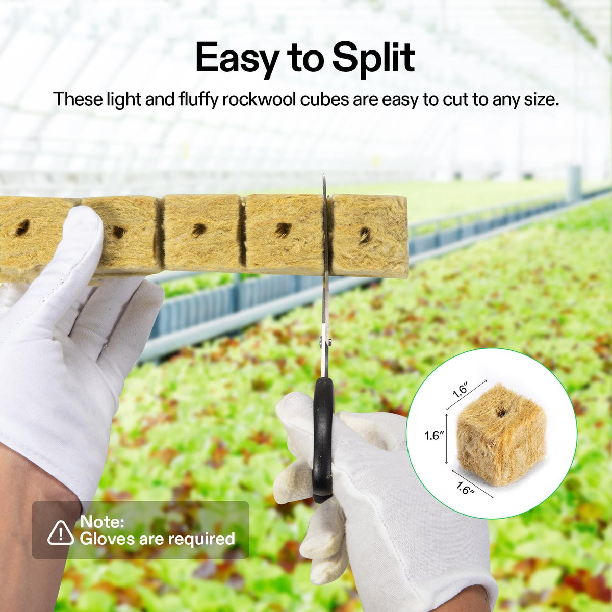 VIVOSUN rockwool cube seed or cutting hole ready for planting