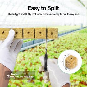 VIVOSUN rockwool cube seed or cutting hole ready for planting