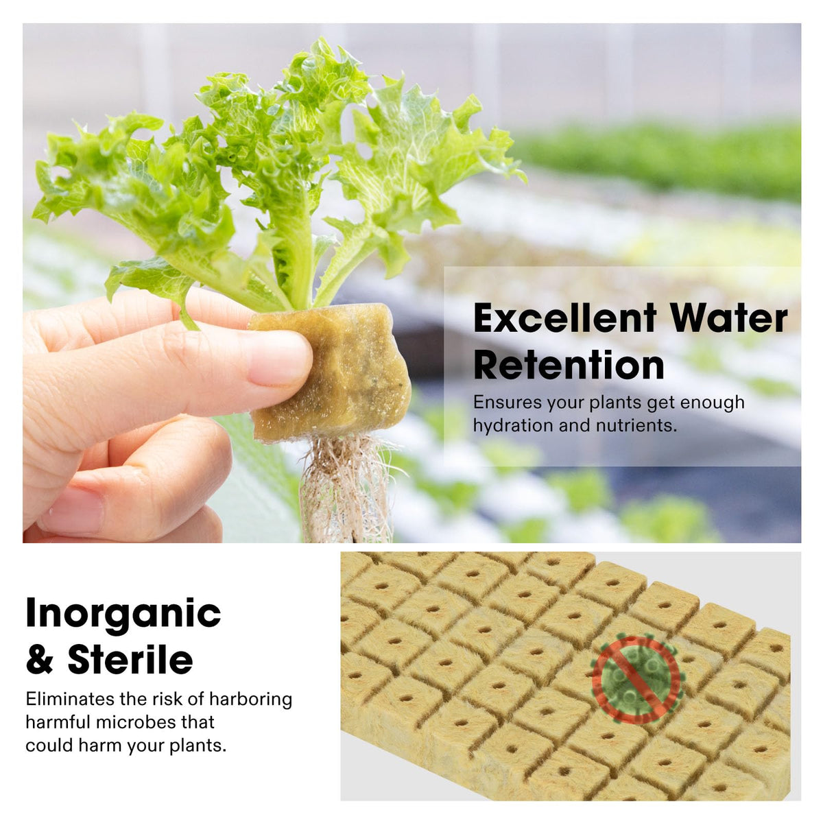 VIVOSUN rockwool cubes are sterile and water-retentive, supporting healthy hydration for young roots.