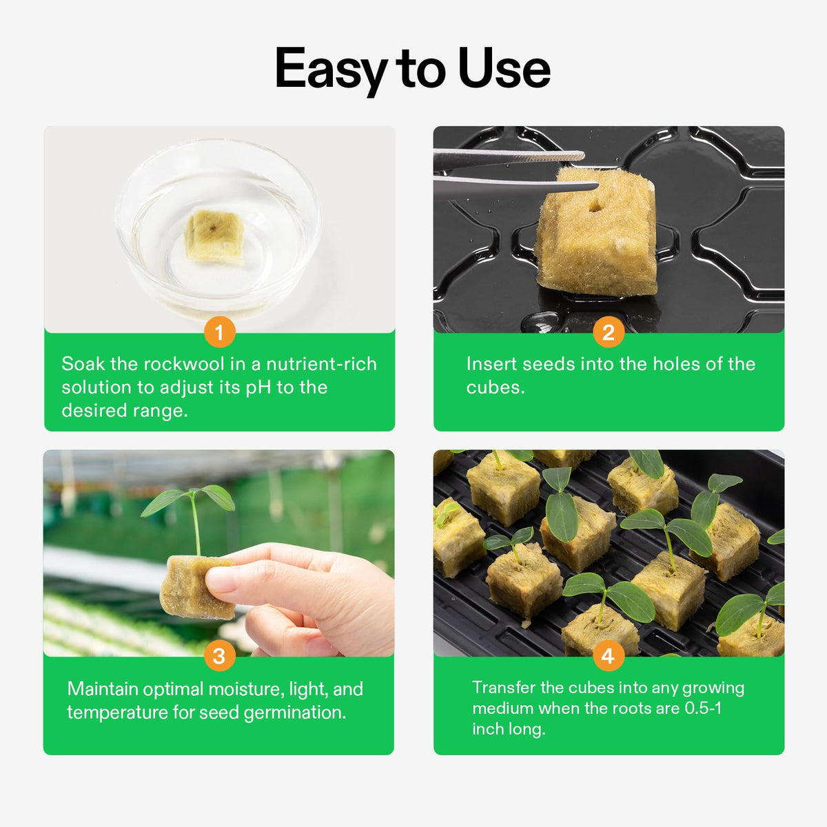 Cubes with seed or cutting holes for easy propagation