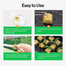 Cubes with seed or cutting holes for easy propagation