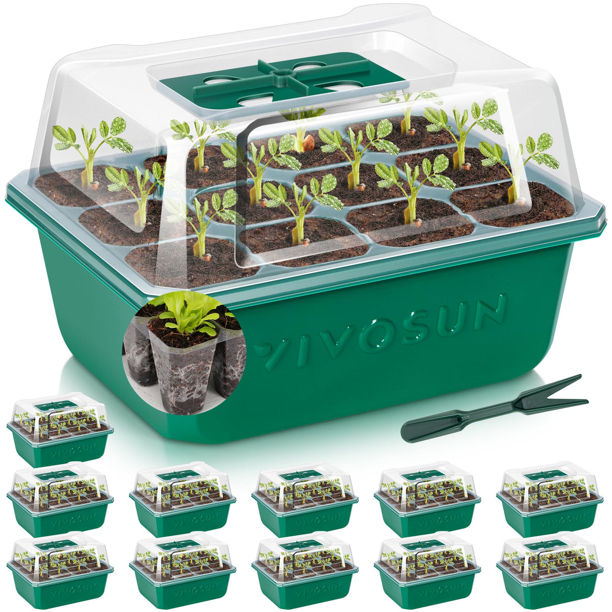 VIVOSUN seed starter trays with humidity dome for steady germination.