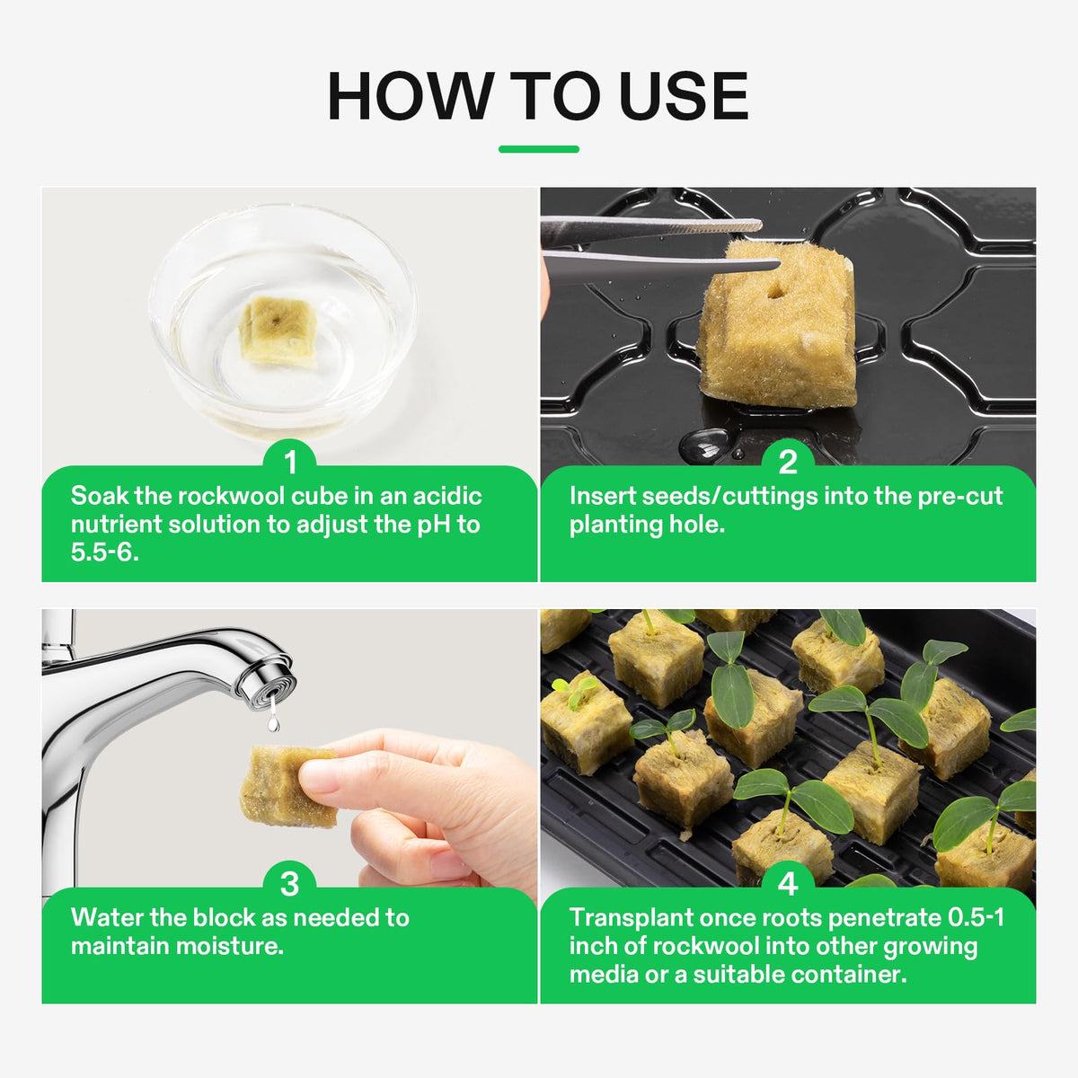 VIVOSUN seed starting propagation scene illustrating quick cube-to-medium transfer.