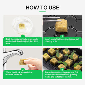 VIVOSUN seed starting propagation scene illustrating quick cube-to-medium transfer.