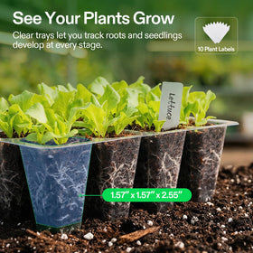 VIVOSUN seed tray with drain holes promotes healthy root drainage.