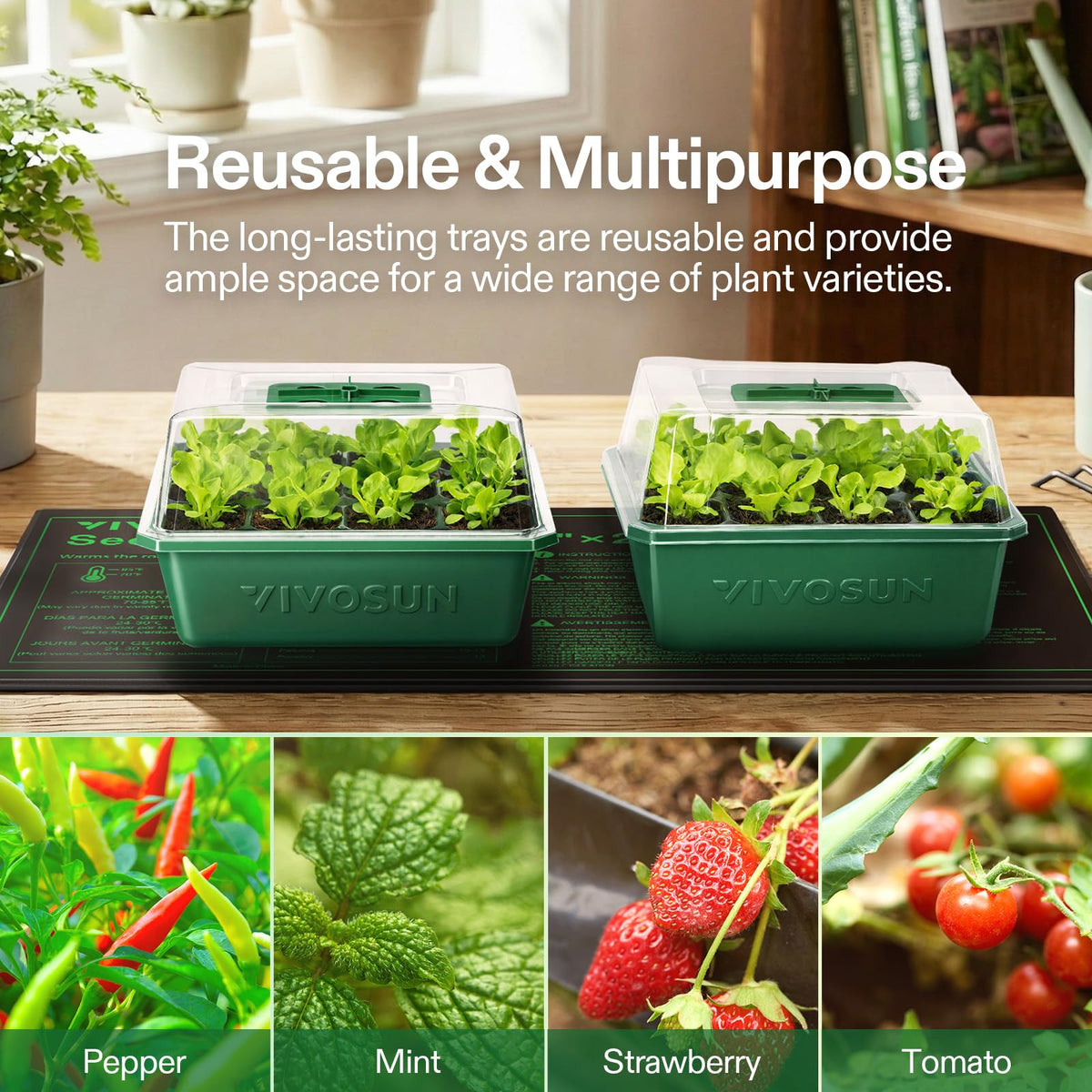 VIVOSUN seed tray with drain holes prevents overwatering