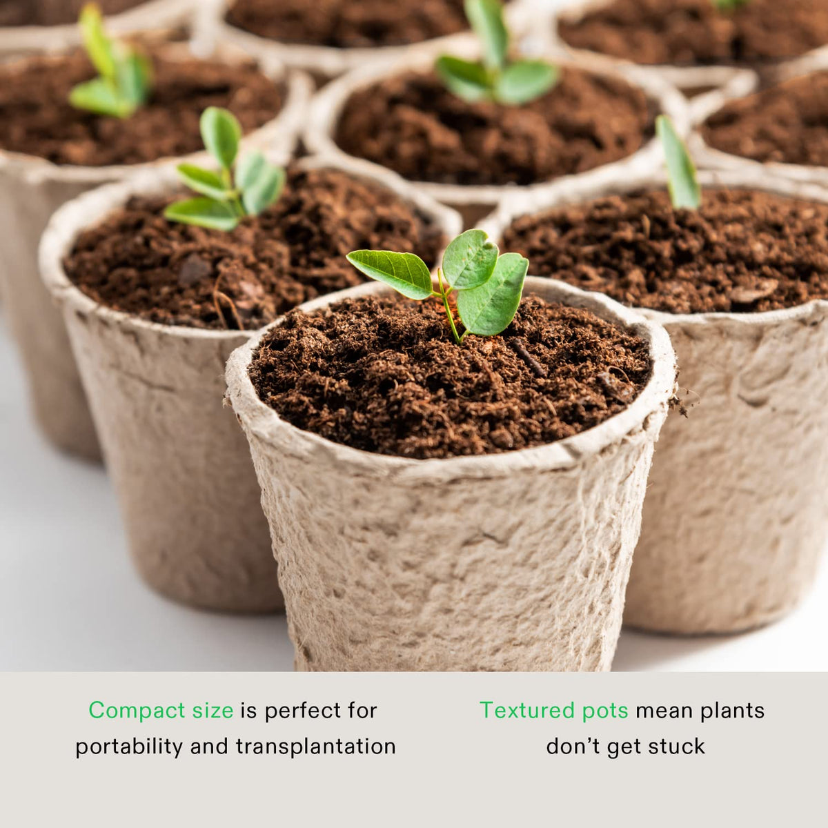 VIVOSUN seedling-ready pot suitable for transplant