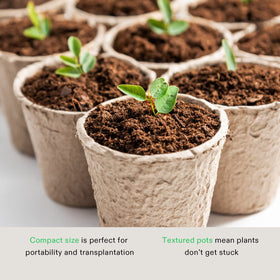 VIVOSUN seedling-ready pot suitable for transplant