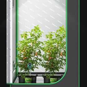 VIVOSUN soil tester ideal for garden beds and pots.