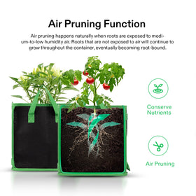 VIVOSUN square-foot garden setup shows space-saving arrangement for multiple bags.