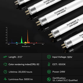 Cool white 6500K spectrum from VIVOSUN T5 bulbs for even veg growth