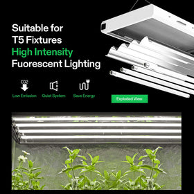 Low heat emissions with VIVOSUN T5 bulbs support compact indoor setups