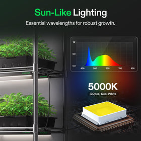 Four VIVOSUN T5 strips arranged for a compact grow setup