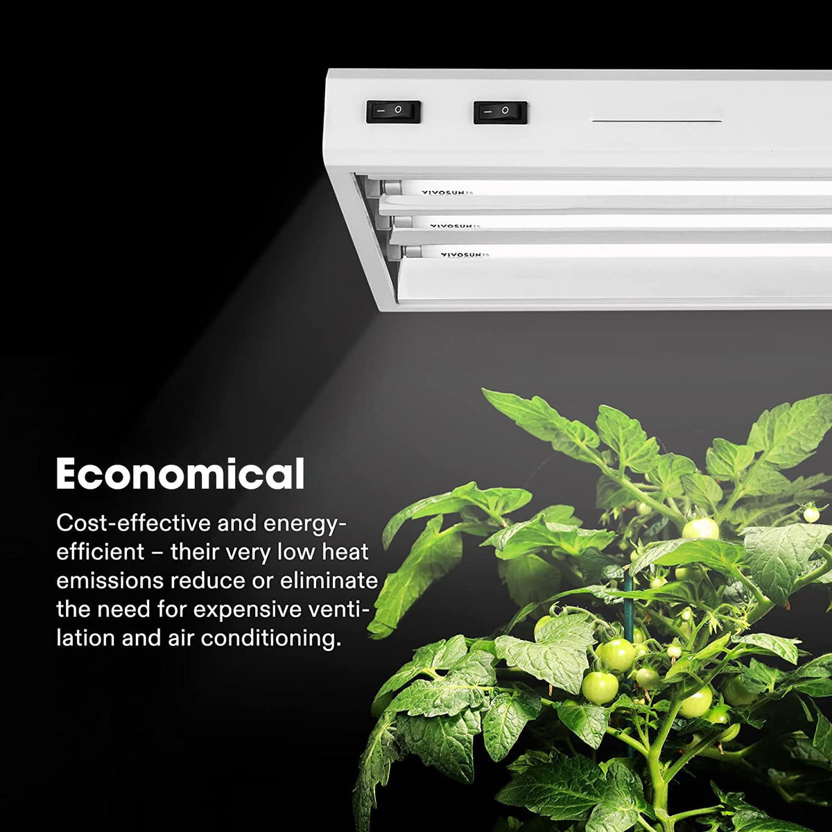 VIVOSUN T5 bulb tube 6500K emits 5000 lumens for seedlings.