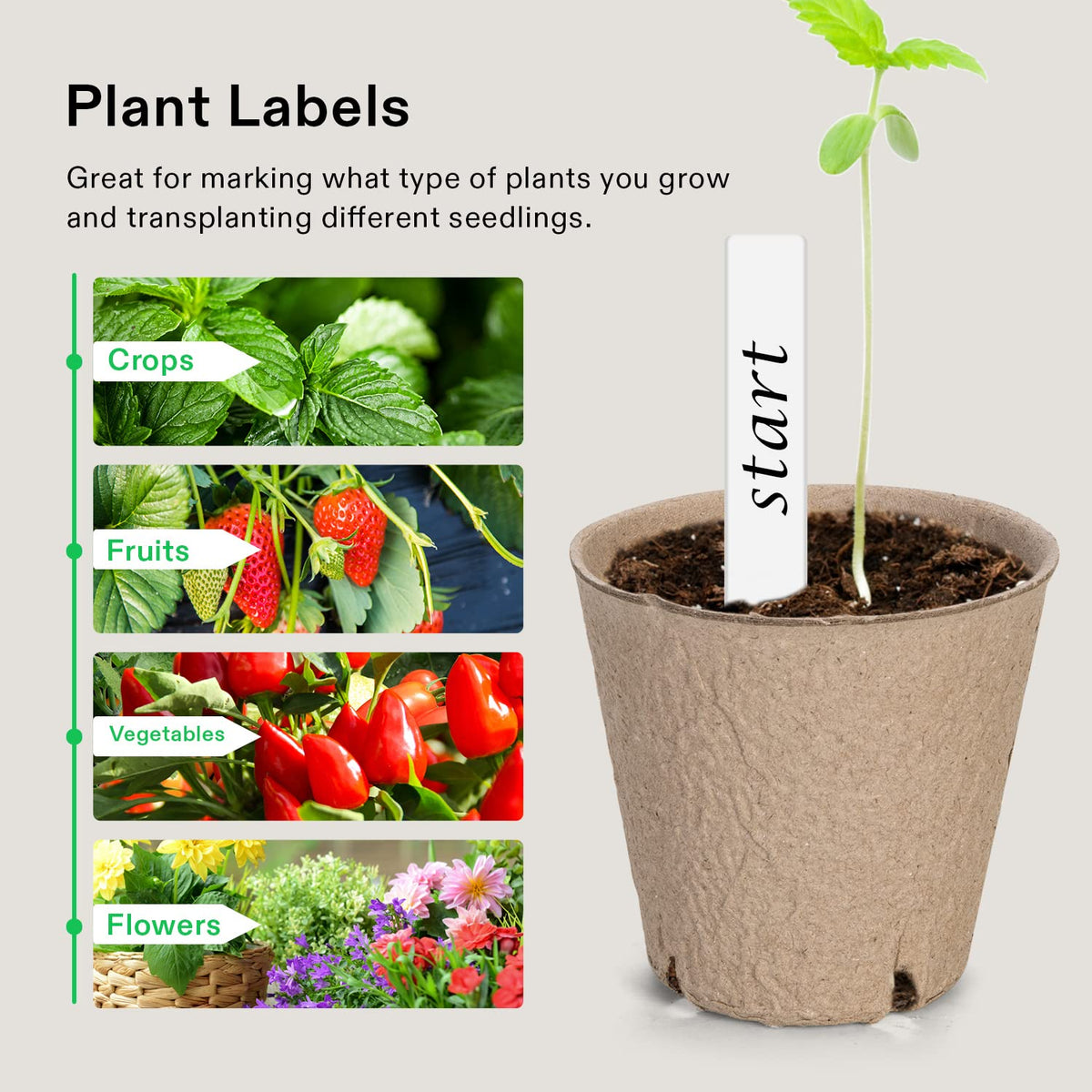VIVOSUN transplant-friendly pot shown with soil and seedling