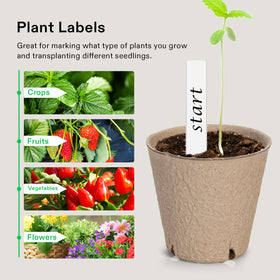 VIVOSUN transplant-friendly pot shown with soil and seedling