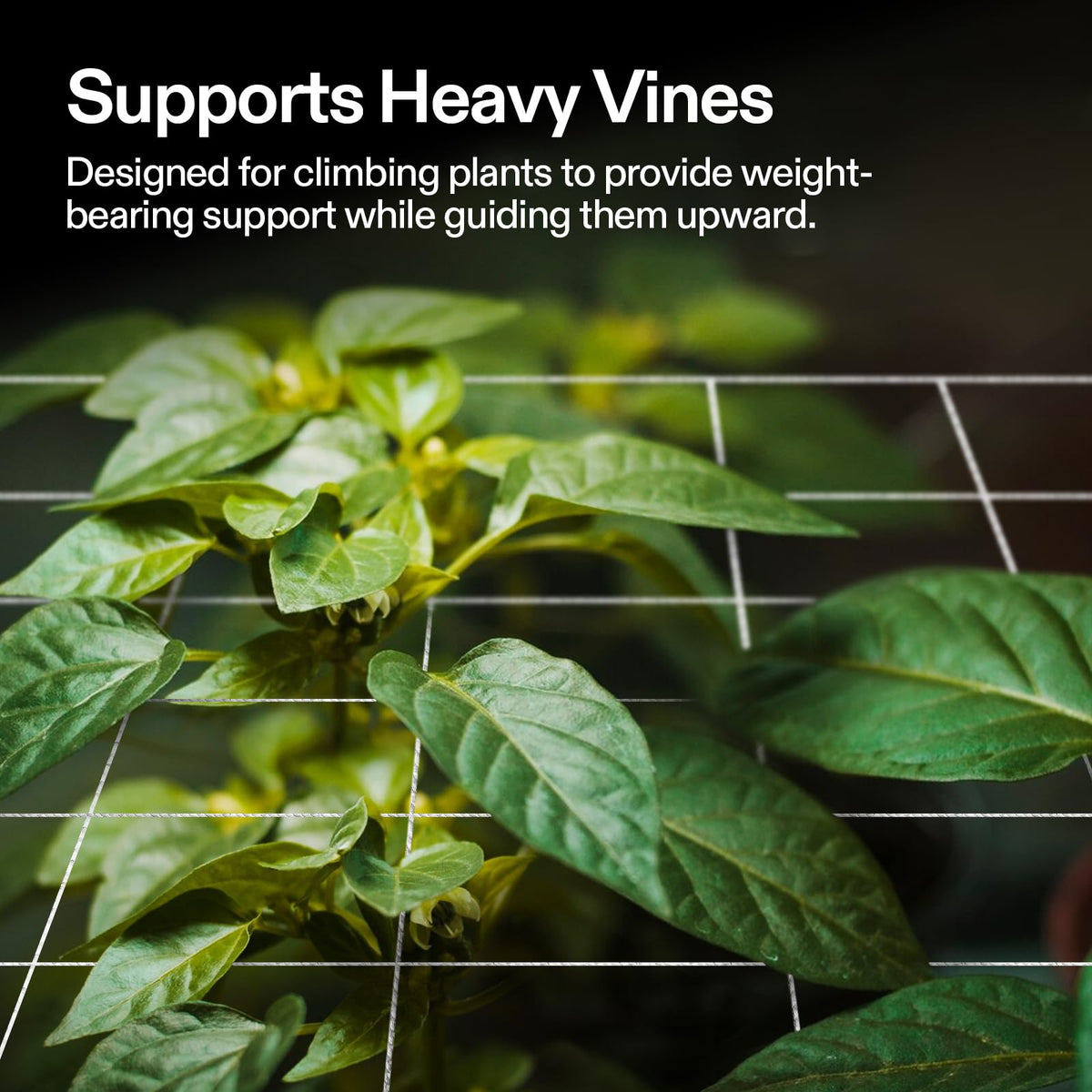 VIVOSUN trellis netting close-up shows durable polyester braid for long-lasting support