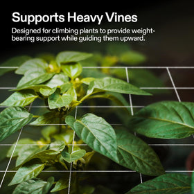 VIVOSUN trellis netting close-up shows durable polyester braid for long-lasting support