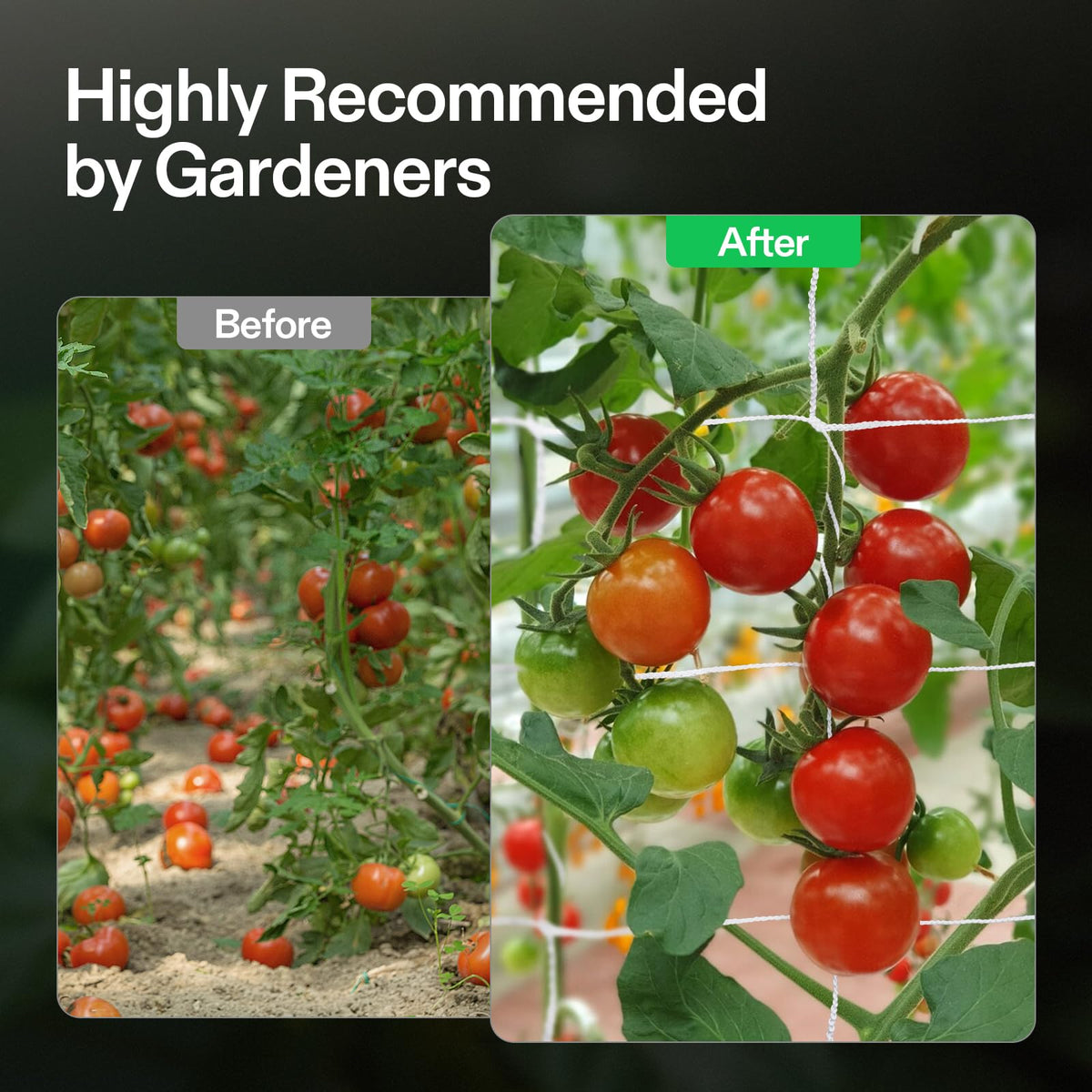 VIVOSUN Trellis supports tomatoes and cucumbers without sagging.
