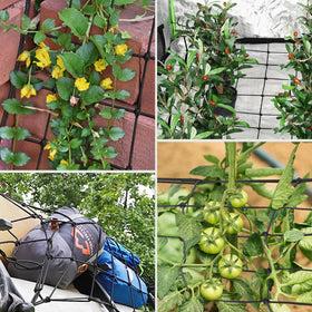 VIVOSUN trellis supports cucumbers and tomatoes in a garden bed.