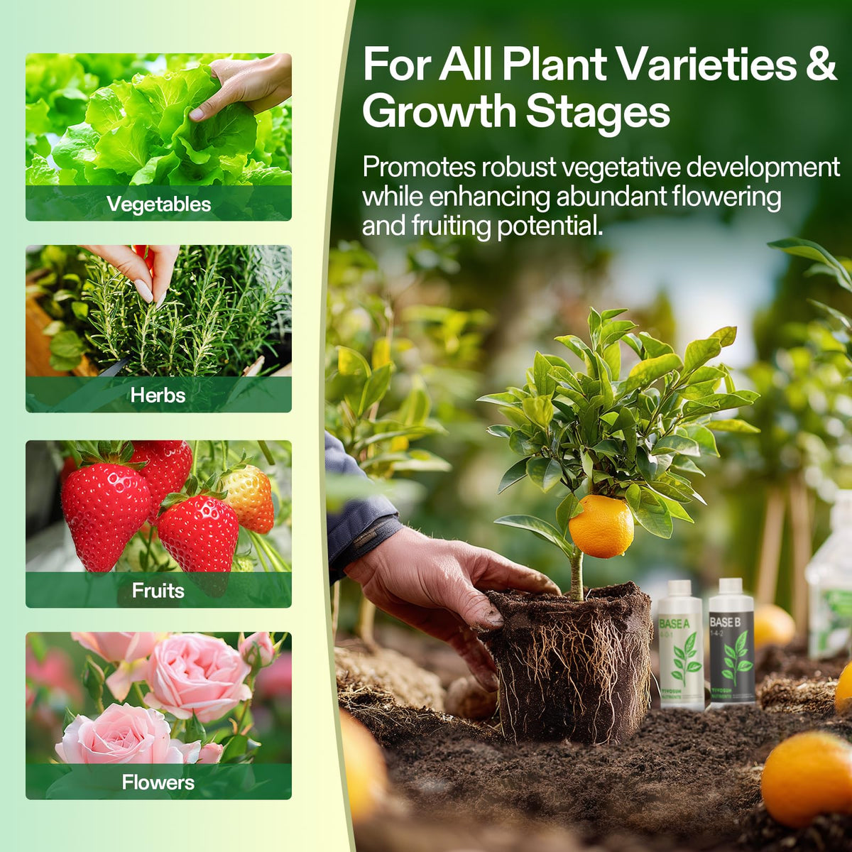 VIVOSUN two-bottle system reduces complex feeding plans.