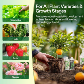 VIVOSUN two-bottle system reduces complex feeding plans.