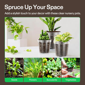 VIVOSUN ideal for seed starting, transplanting, and nurturing herbs and succulents.