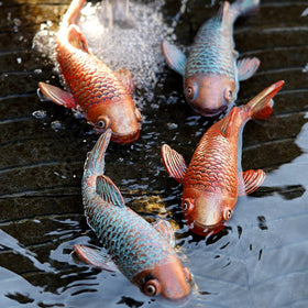 VKEVOC koi fish garden decor enhancing backyard scenery