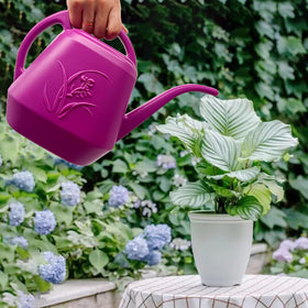 VKPLITE Rose Red watering can in use beside potted plants on a balcony.