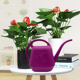 VKPLITE Rose Red watering can made from recyclable plastic for sustainable use.