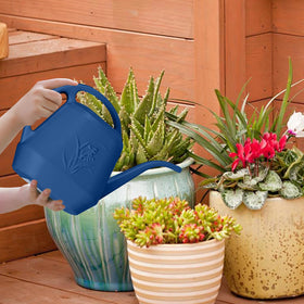 VKPLITE indoor and outdoor watering can suits houseplants and garden beds.
