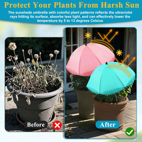 Voccos reflective silver UV coating reduces heat for delicate seedlings.
