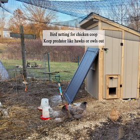 Vocray chicken run netting keeps poultry secure in the yard.