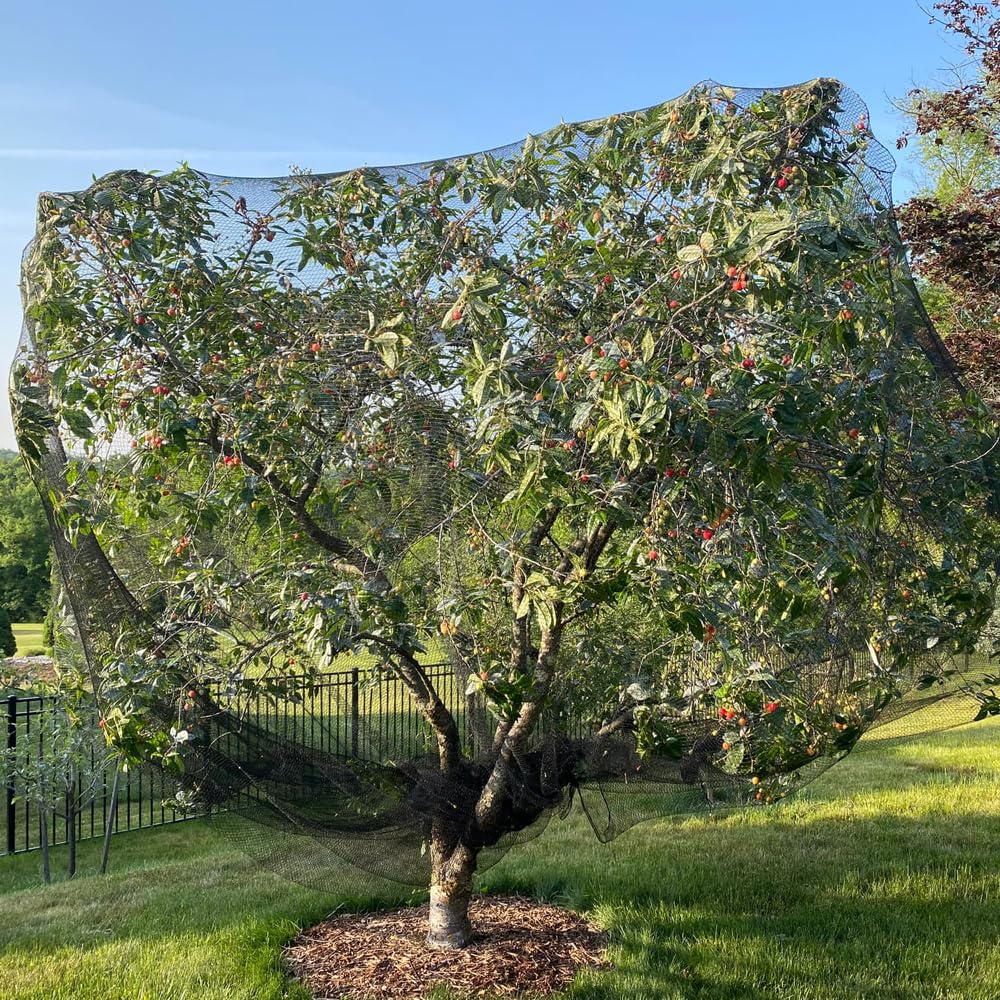 Vocray weatherproof HDPE netting endures sun and weather.