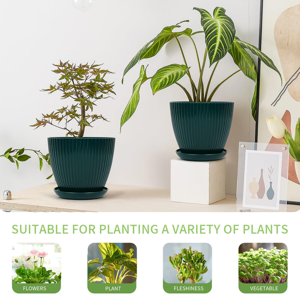 Vodotion six-size pot set fits different plants and spaces.