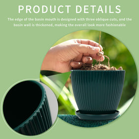 Vodotion plant pots support varied indoor arrangements without crowding spaces.