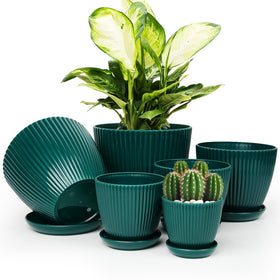 Vodotion plant pots with saucers in dark green provide a neat indoor display.